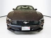 Thumbnail of 2022 Mischievous Purple Metallic Ford Mustang