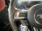 Thumbnail of 2015 Race Red Ford Mustang