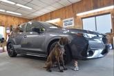 Thumbnail of 2024 MAGNATITLE GRAY Subaru Impreza