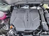 Thumbnail of 2025 Jungle Green Kia Sorento