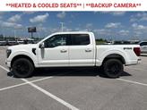 Thumbnail of 2025 White Ford F-150