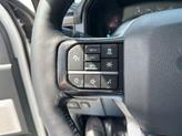 Thumbnail of 2025 White Ford F-150