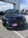 Thumbnail of 2021 Blue Ford Escape