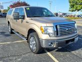 Photo of 2012 Pale Adobe Metallic Ford F-150