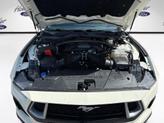 Thumbnail of 2025 Wimbledon White Ford Mustang