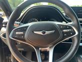 Thumbnail of 2024 Vik Black Genesis GV70