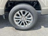 Thumbnail of 2025 Marsh Gray Ford F-150