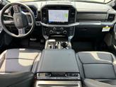 Thumbnail of 2025 Marsh Gray Ford F-150