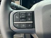 Thumbnail of 2025 Marsh Gray Ford F-150