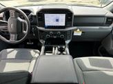 Thumbnail of 2025 Agate Black Metallic Ford F-150