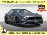 Photo of 2023 Gray Metallic Ford Mustang