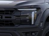 Thumbnail of 2025 Agate Black Ford F-150
