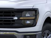 Thumbnail of 2025 Oxford White Ford F-150