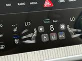Thumbnail of 2025 Vik Black Genesis GV80