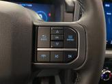 Thumbnail of 2025 Agate Black Metallic Ford F-150 Lightning