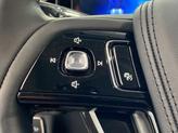 Thumbnail of 2025 RED CARPET MET TC Lincoln Aviator