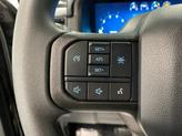 Thumbnail of 2025 Agate Black Metallic Ford F-150