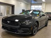 Thumbnail of 2024 Shadow Black Ford Mustang