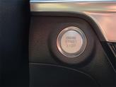 Thumbnail of 2023 Jungle Green Kia Telluride