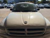 Photo of 2002 Light Almond Pearl Clearcoat Metallic Dodge Durango