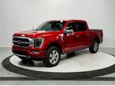 Thumbnail of 2022 RAPID RED MET TINTED CC Ford F-150