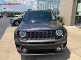 Thumbnail of 2020 Granite Crystal Clearcoat Metallic Jeep Renegade