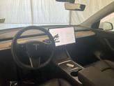 Thumbnail of 2021 Pearl White Multi Tesla Model Y