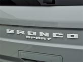 Thumbnail of 2022 Cactus Grey Ford Bronco Sport