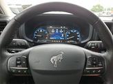 Thumbnail of 2022 Cactus Grey Ford Bronco Sport