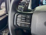 Thumbnail of 2023 Carbonized Gray Metallic Ford F-150
