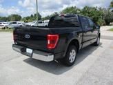 Thumbnail of 2023  Ford F-150