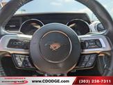 Thumbnail of 2015 Red Ford Mustang
