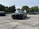 Thumbnail of 2024 Gray Metallic Ford Mustang