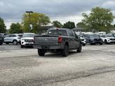 Thumbnail of 2025 Gray Ford F-150 Lightning
