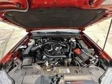 Thumbnail of 2024 Chili Pepper Red Ford Ranger