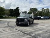Thumbnail of 2017 Magnetic Ford F-150