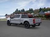 Thumbnail of 2025 Avalanche Ford F-350