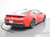 Thumbnail of 2024 Race Red Ford Mustang