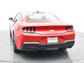 Thumbnail of 2024 Race Red Ford Mustang