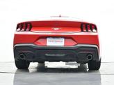 Thumbnail of 2024 Race Red Ford Mustang