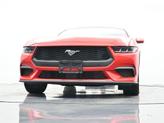 Thumbnail of 2024 Race Red Ford Mustang