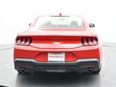 Thumbnail of 2024 Race Red Ford Mustang