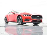 Thumbnail of 2024 Race Red Ford Mustang