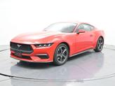 Photo of 2024 Race Red Ford Mustang