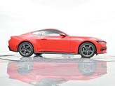 Thumbnail of 2024 Race Red Ford Mustang