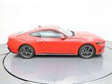 Thumbnail of 2024 Race Red Ford Mustang