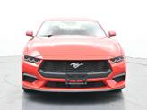 Thumbnail of 2024 Race Red Ford Mustang