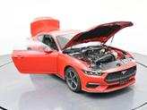 Thumbnail of 2024 Race Red Ford Mustang