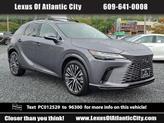 Photo of 2023 Nebula Gray Pearl Lexus RX 350