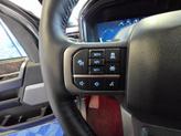 Thumbnail of 2024 Carbonized Gray Metallic Ford F-250